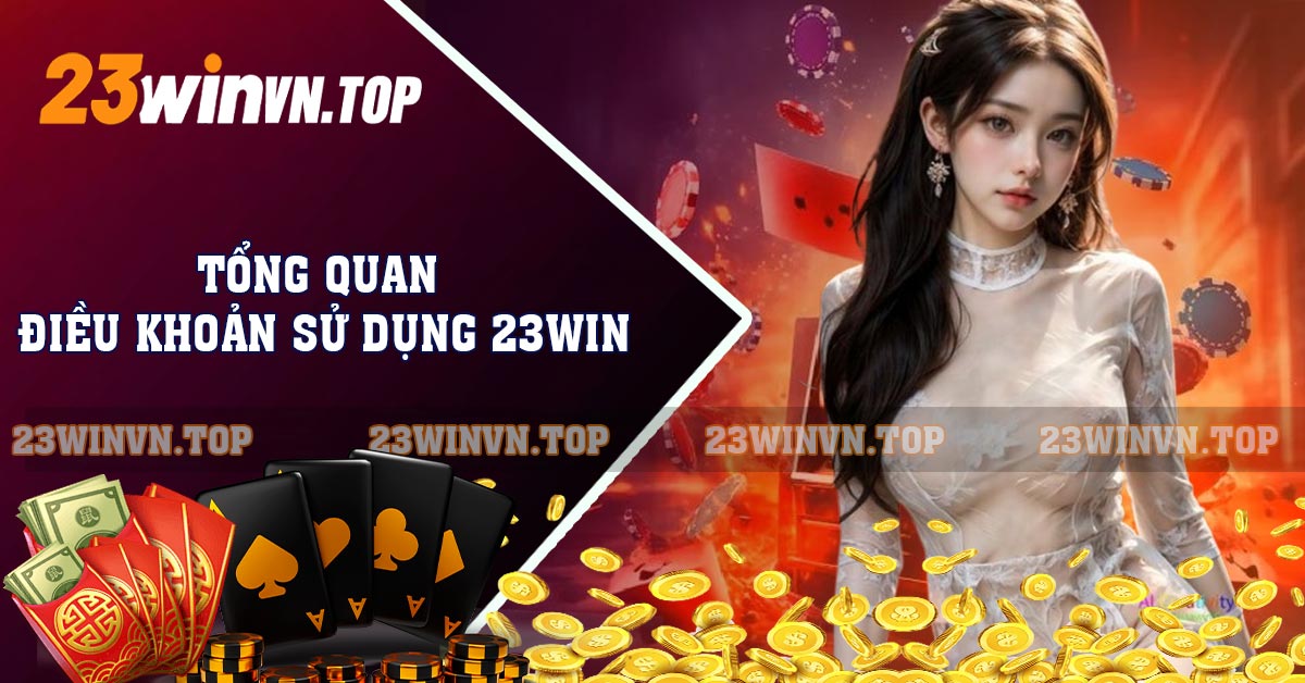 Tổng quan điều khoản sử dụng 23WIN
